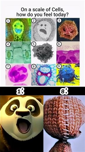 Which Cell Are You Today? 😂🧬#funny #relatable #memes