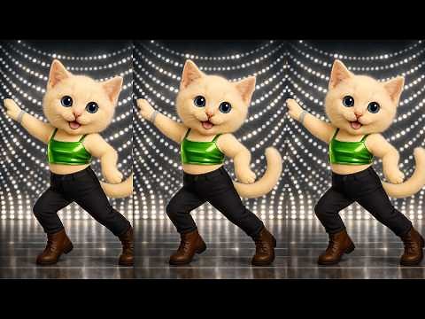 The Ultimate Dancing Cats Compilation 🐱💃 | You’ll Keep Smiling 😄