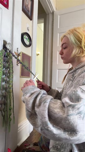 its mardi gras time baby ! im cranking out these badass reuseable braids for yall 💜💚💛 i havent made a tik tok since it was musically, but thought it’d be fun to make a silly video showing a bit of the process. be nice or leave 🐞 okay love ya byeeeee #festivalbraid #festivalbraider #mardigras #nolaartists #nolahairstylists #festivalponytails #reuseable