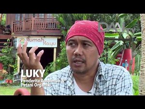 Lokalvora "Sakit, Kebun & Bangkit" | DAAI TV
