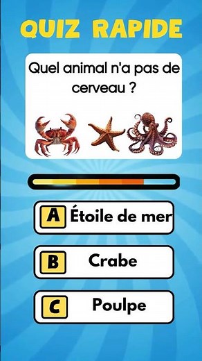Quiz Animaux 🐾 Peux-tu Faire 4/4 ? Ces Animaux Sont Incroyables !