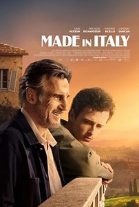 Made in Italy | Audience Reviews