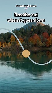 Breathing for ADHD (5.5 Sec In / 5.5 Sec Out) Try the Pocket Breath Coach app to practice breathing exercises away from the distractions of social media. (Link in pinned comment) Struggling with focus, anxiety, and the racing thoughts of ADHD? This guided breathing for ADHD video uses a scientifically optimized pattern of 5.5 seconds inhale and 5.5 seconds exhale to naturally calm your nervous system and boost concentration. This is commonly called "coherent breathing" (also known as paced rhyth