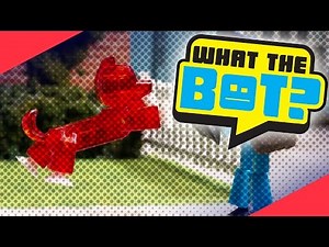What the Bot? 💩 | Doggy Protection Device