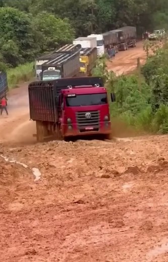 Brazil's Wild Truck Drivers: A Look into the Thrilling World of Brazilian Truckers