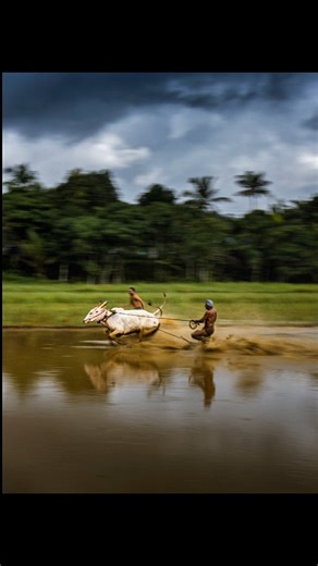 𝙎𝙖𝙘𝙝𝙞𝙣 𝙎 | 𝗧𝗿𝗮𝘃𝗲𝗹 𝗣𝗵𝗼𝘁𝗼𝗴𝗿𝗮𝗽𝗵𝗲𝗿 | 𝗞𝗲𝗿𝗮𝗹𝗮 | 𝗜𝗻𝗱𝗶𝗮 🇮🇳 on Instagram: "Tips for panning photography👇👇👇 📸 1. Use a slow shutter speed Start with 1/30 to 1/60 sec for cars or bikes. For slower subjects like people or bicycles, try 1/15 to 1/30 sec. (Adjust depending on how fast your subject moves.) 🎯 2. Set your focus mode to Continuous (AF-C / AI Servo) This keeps your subject in focus as it moves across the frame. 🧭 3. Follow the subject smoothly Move your