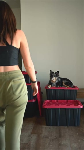 Life is a bit chaotic at the moment but when life gets overwhelming, Rover.com helps make sure Ember never misses adventure day outside.  Use code EMBER25 for $25 off your first service! | Ember | Facebook