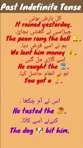 The Official Guide to Past indefinite tense examples