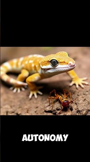 Why is my gecko losing its tail?