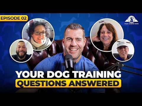 Why Your Reactive Dog Needs Leadership | Live Q&A Ep. 2