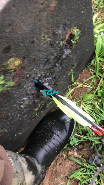 Mastering Compound Bow Techniques for Target Archery