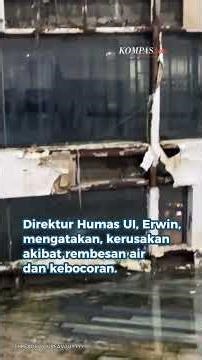 Viral Perpustakaannya Berlumut dan Tak Terawat, UI Buka Suara