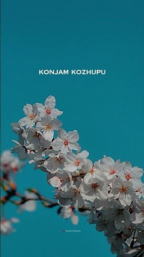 Arabu naadae asanthu nirkum azhagiya nee | Yuvan haricharan | #lovesadstatus #tamilwhatsappstatus