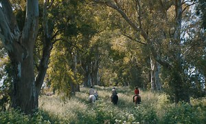 Azor - English subtitles