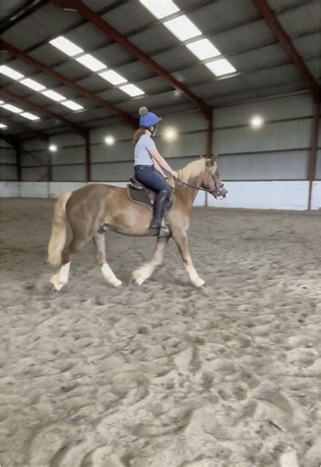 diaryofawelsh on TikTok