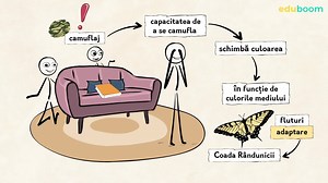 Adaptări ale viețuitoarelor la viața terestră. Științe ale naturii a 4-a