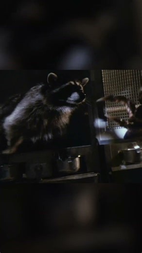 Gremlins 2: Gremlins Release the Animals