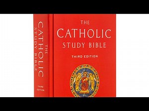 The Catholic Study Bible Review | The Best Study Bible in the Market