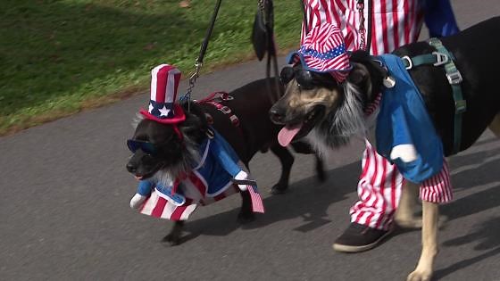 Seventh ‘Howl-o-ween’ Parade Thrills Pet Lovers in Scranton