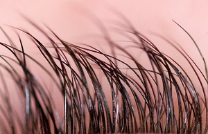 Here's How Gross it Is if You Find a Hair in Your Food