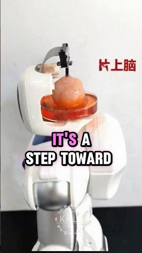 Robot with Lab Grown Brain from Human Stem Cells