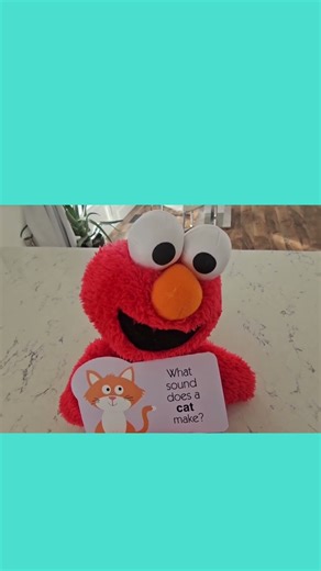 Elmo Learns What Sound a CAT Makes! #animalsounds #elmo #cat #learning