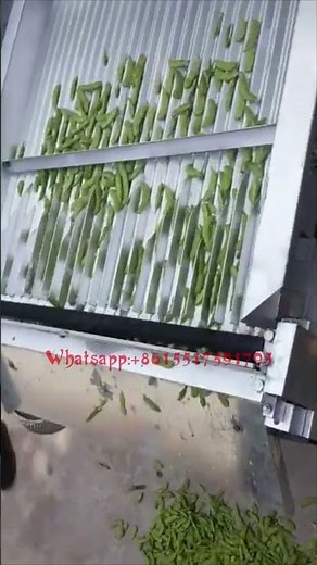 Fresh Green Pea Sheller Machine Industrial Dry Whole Green Pea Shelling Peeling Machine