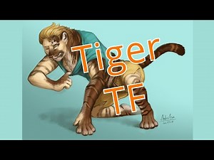 Tiger Transformation / Tiger TFTG