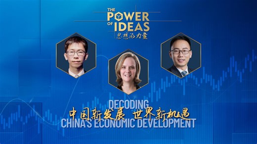 The Power of Ideas: Decoding China’s Economic Development