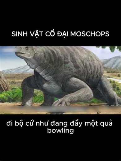 Sinh vật cổ đại: Moschops là loài ăn cỏ chậm chạp, sống hiền lành nhưng sở hữu cái đầu cực cứng.