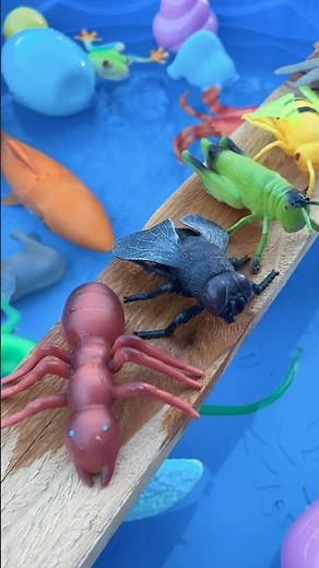 Insects SPLASHED into the Pool | Grasshopper, Dragonfly, Tarantula, Ladybug