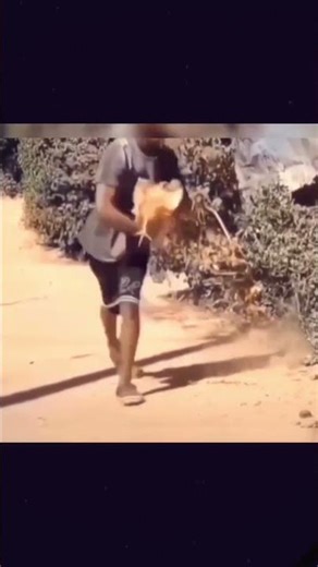 Crazy Chicken Catching Technique 😂 | Smart Village Trick