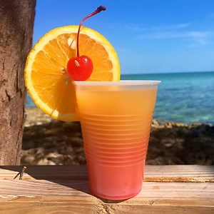 Today we are in the Bahamas making the world famous Bahama Mama! | Tipsy Bartender