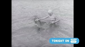 4.2K views · 29 reactions | The National Film Unit captured New Zealand’s history for over four decades & their films have since become national treasures. Over the weekend the group responsible for putting them together met for their first ever reunion. Rebecca Edwards tagged along. | Seven Sharp | Facebook