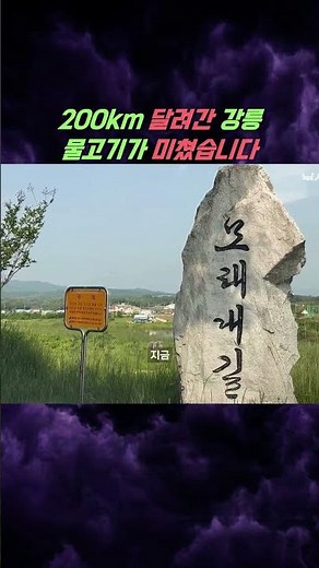 A 200km Solo Fishing Trip (feat. Gangneung, Gangwon-do)
