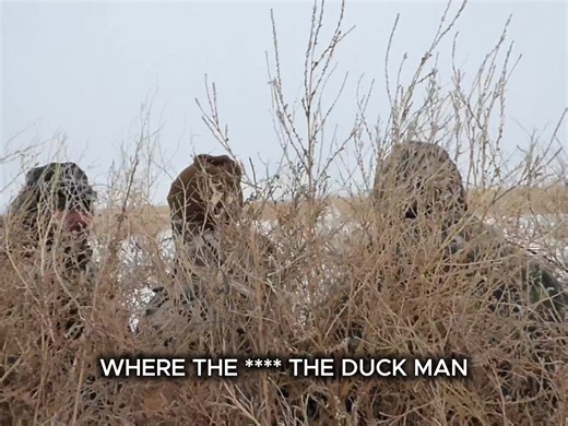 Someone tell this dude we are goose hunting.... #waterfowl #goosehunt #outdoorlife #wheredaduck #funny #viral #fyp