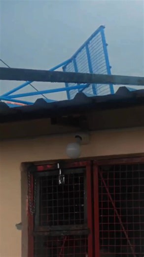 1.8K views · 30 reactions | New Setup For #kabutar #kabootar #pigeons #pigeon | Bhopal Pigeons | Facebook