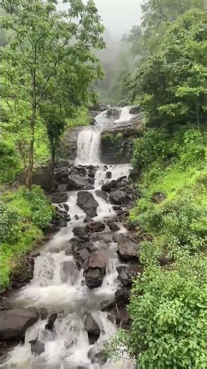 Beautiful Waterfall on Nashik–Jawhar Road | Near Torangan | Beautiful Monsoon Drive