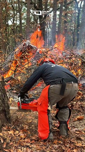 Fling it #chainsaw #fire #homestead