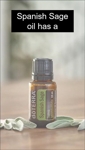 Spanish Sage essential oil benefits and uses