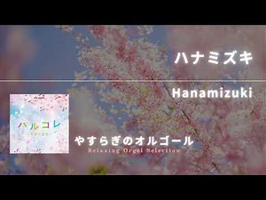 ハナミズキ / Hanamizuki (オフィシャルオーディオ）