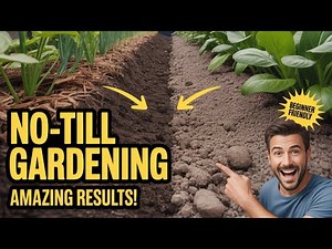 No-Till Gardening for Beginners: Techniques and Benefits
