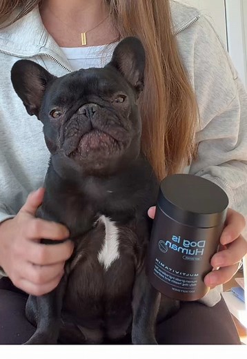 Best Multivitamins for French Bulldogs with Itchy Skin