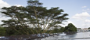 UN Environment “walks the talk” on carbon neutrality