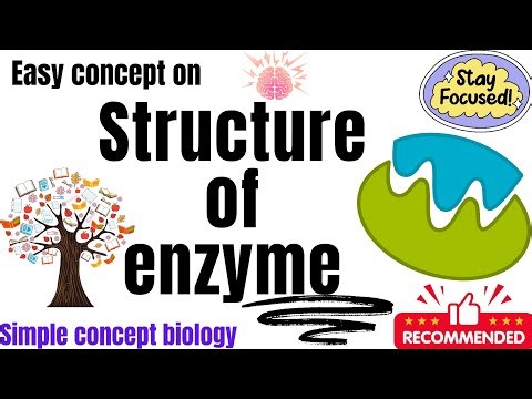 Structure of enzymes || active site || @simpleconceptbiology