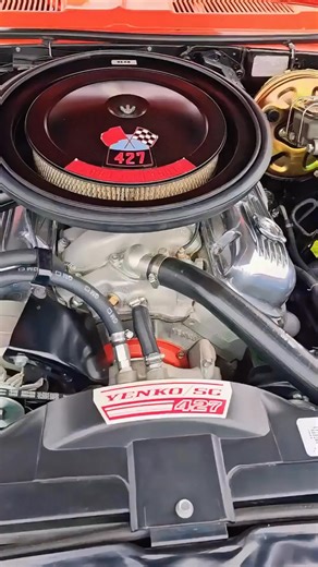 1.3K views | Three fastest muscle cars that truly ruled the track in 1969.#car #shorts #shortvideo #youtubeshorts (1) | Animal - Rescue Center | Facebook