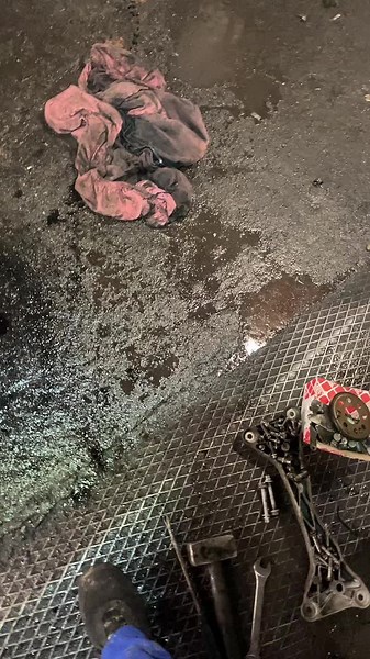 Nikola Macesic582 on TikTok