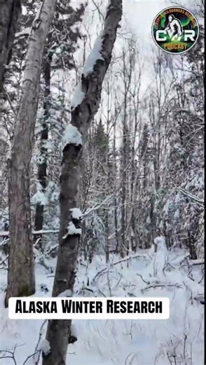 Alaska Bigfoot Research in Winter #cryptids #alaska #bigfoot #sasquatch #paranormal
