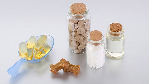Natural Antibiotics for Dogs: Alternatives to OTC Medicines