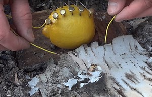 Strange Survival Tip: Start a Fire With a Lemon | OutdoorHub